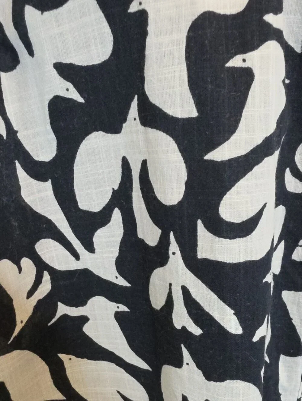 Anthropologie 